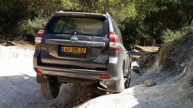 מהלך מתלה אחורי